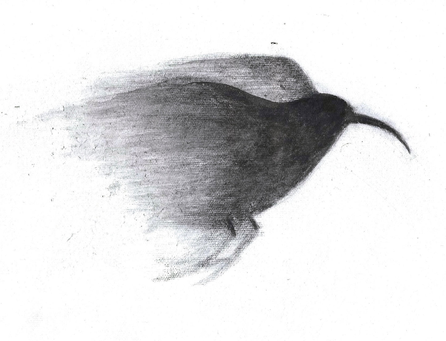 Black Mamo Shadow Original