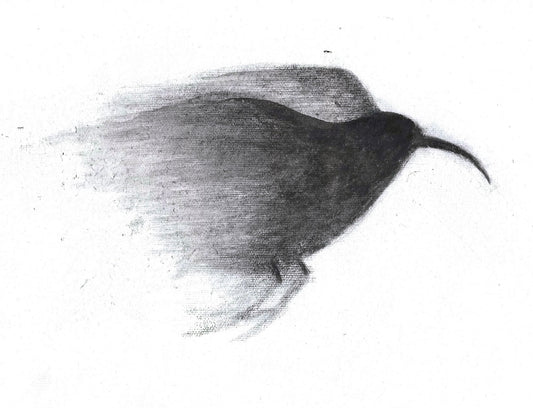 Black Mamo Shadow Original