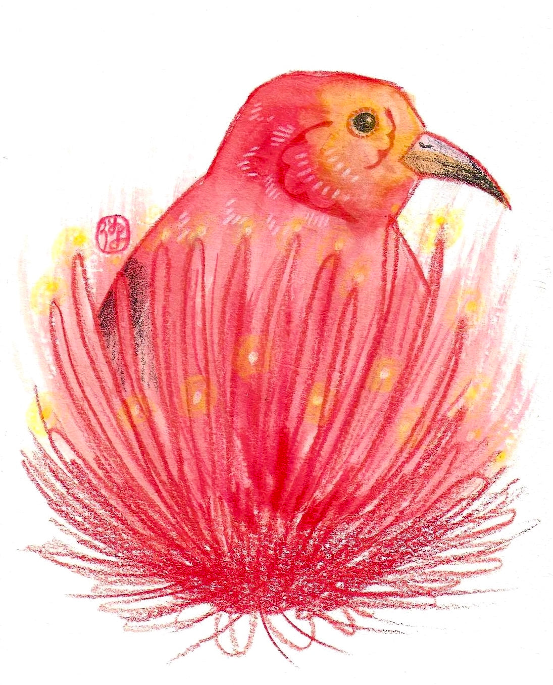 ‘Apapane Drawing