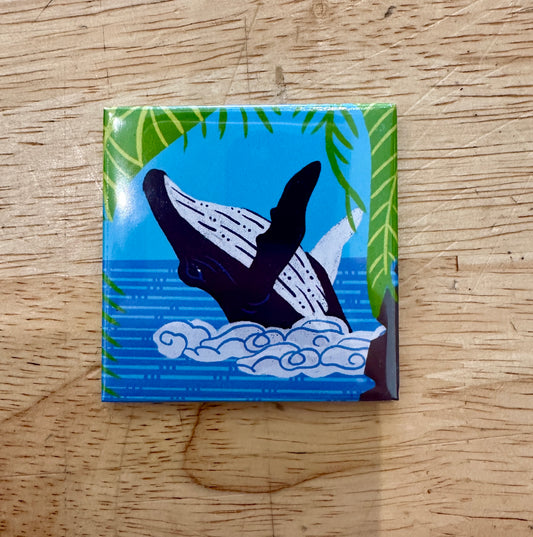 Kohola Magnet