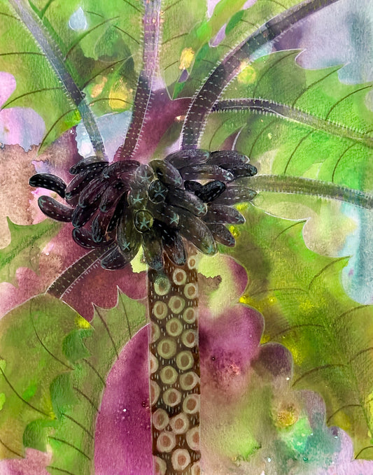 Hāhā Original Painting