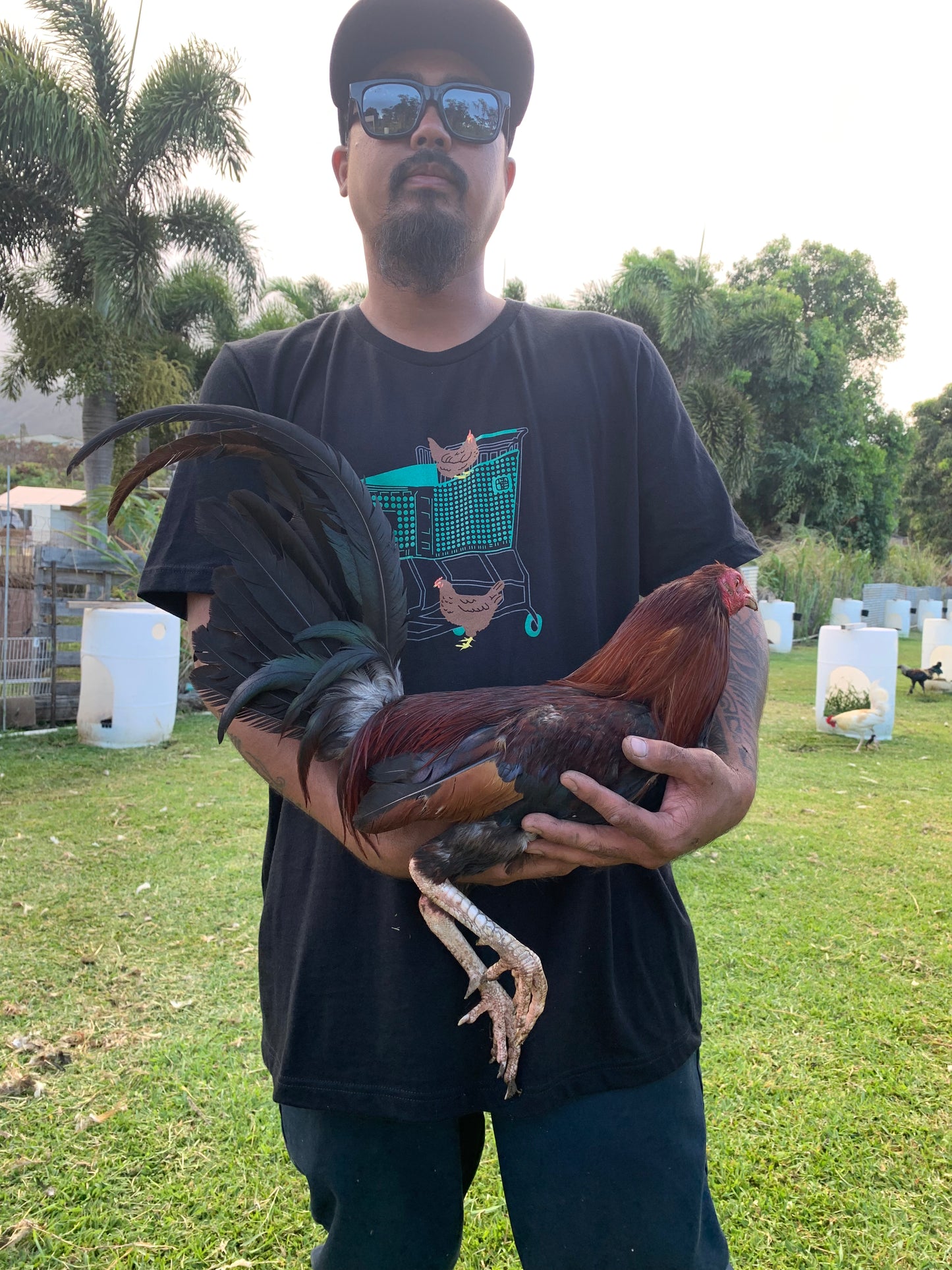 Fresh/Local Produce Shirt