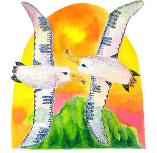 Molī Island Original