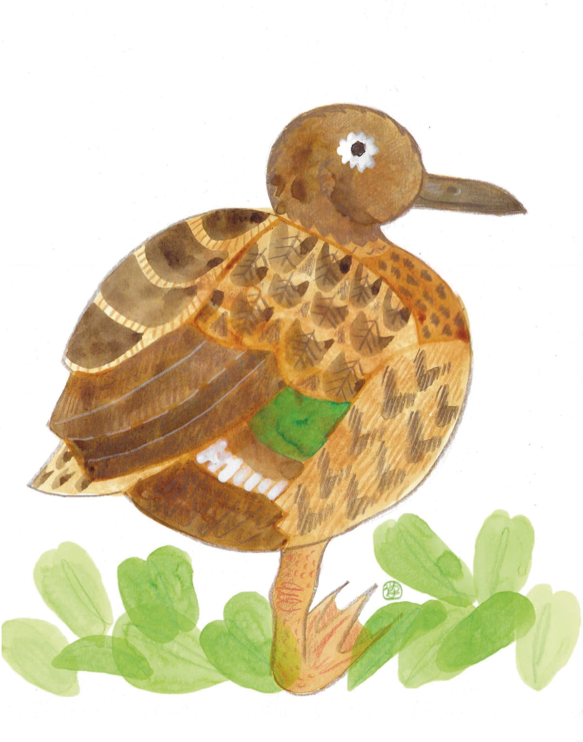 Koloa Pōhaka Drawing
