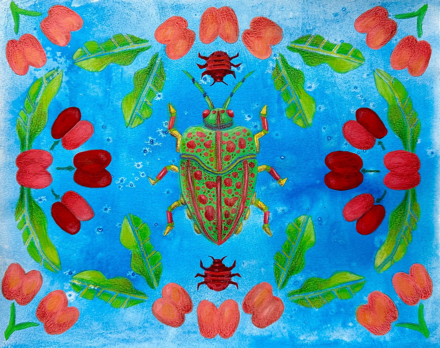 Koa Bug & ʻAʻaliʻi Print