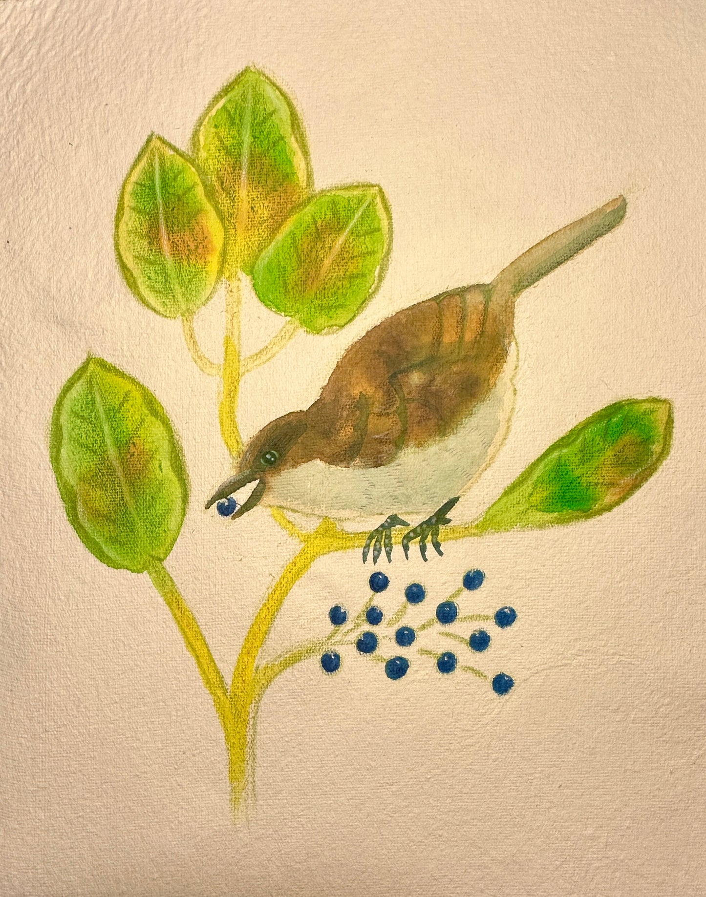 ʻŌmaʻo Berries Original