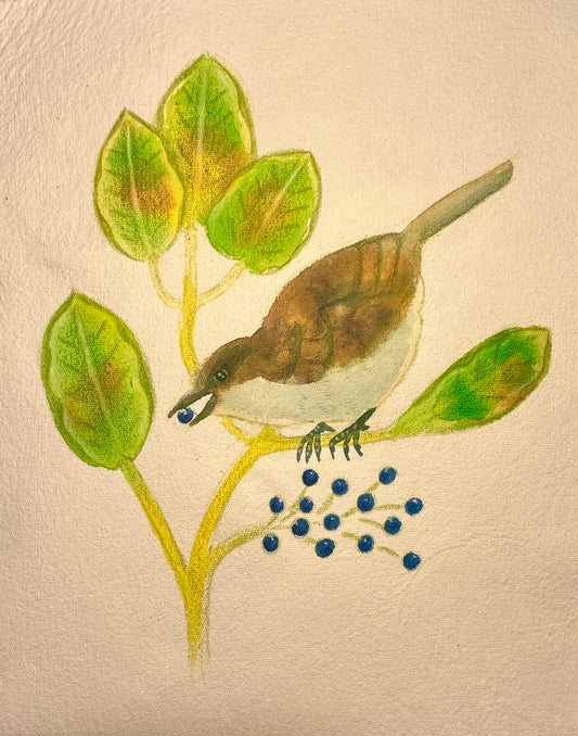 ʻŌmaʻo Berries Original