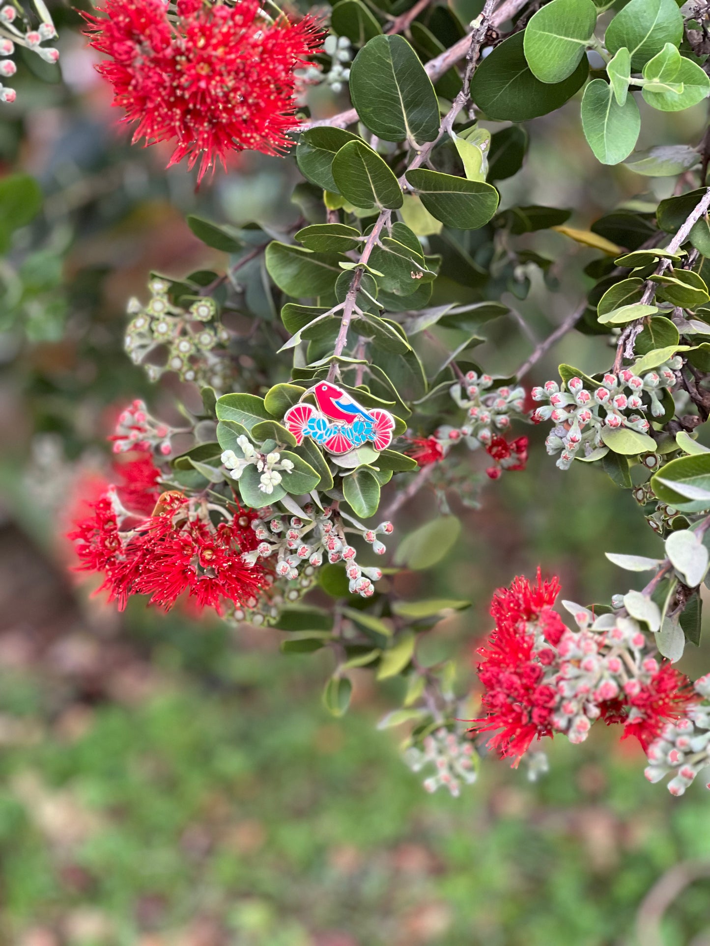 ʻIʻiwi & ‘Ōhiʻa Lehua Enamel Pin