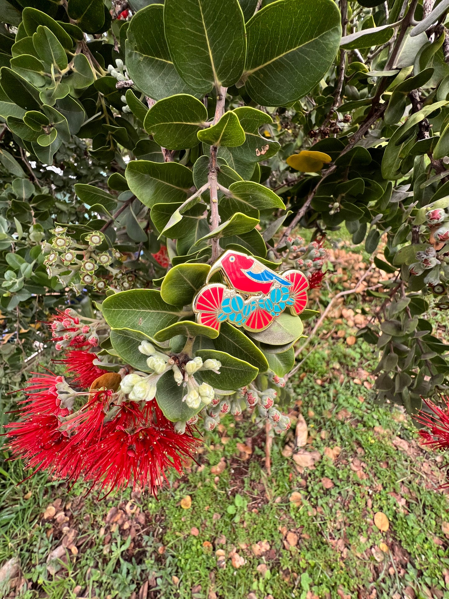 ʻIʻiwi & ‘Ōhiʻa Lehua Enamel Pin