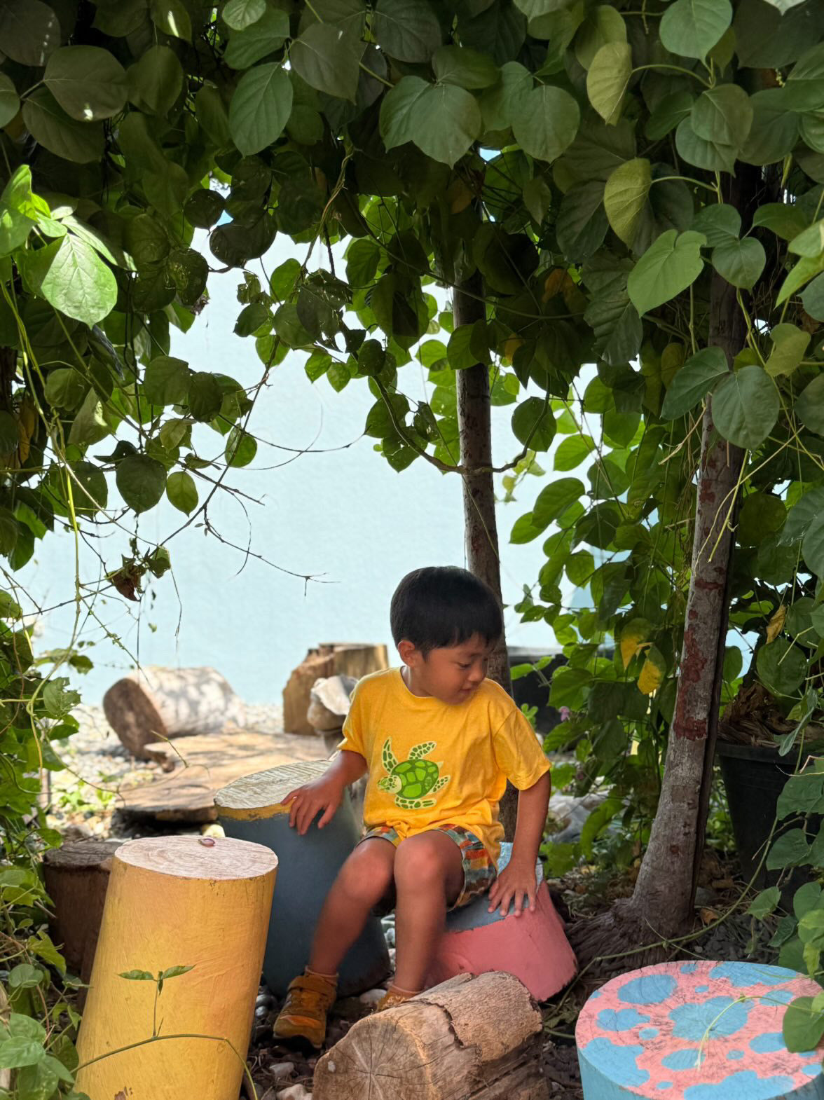 Honu Keiki Shirt