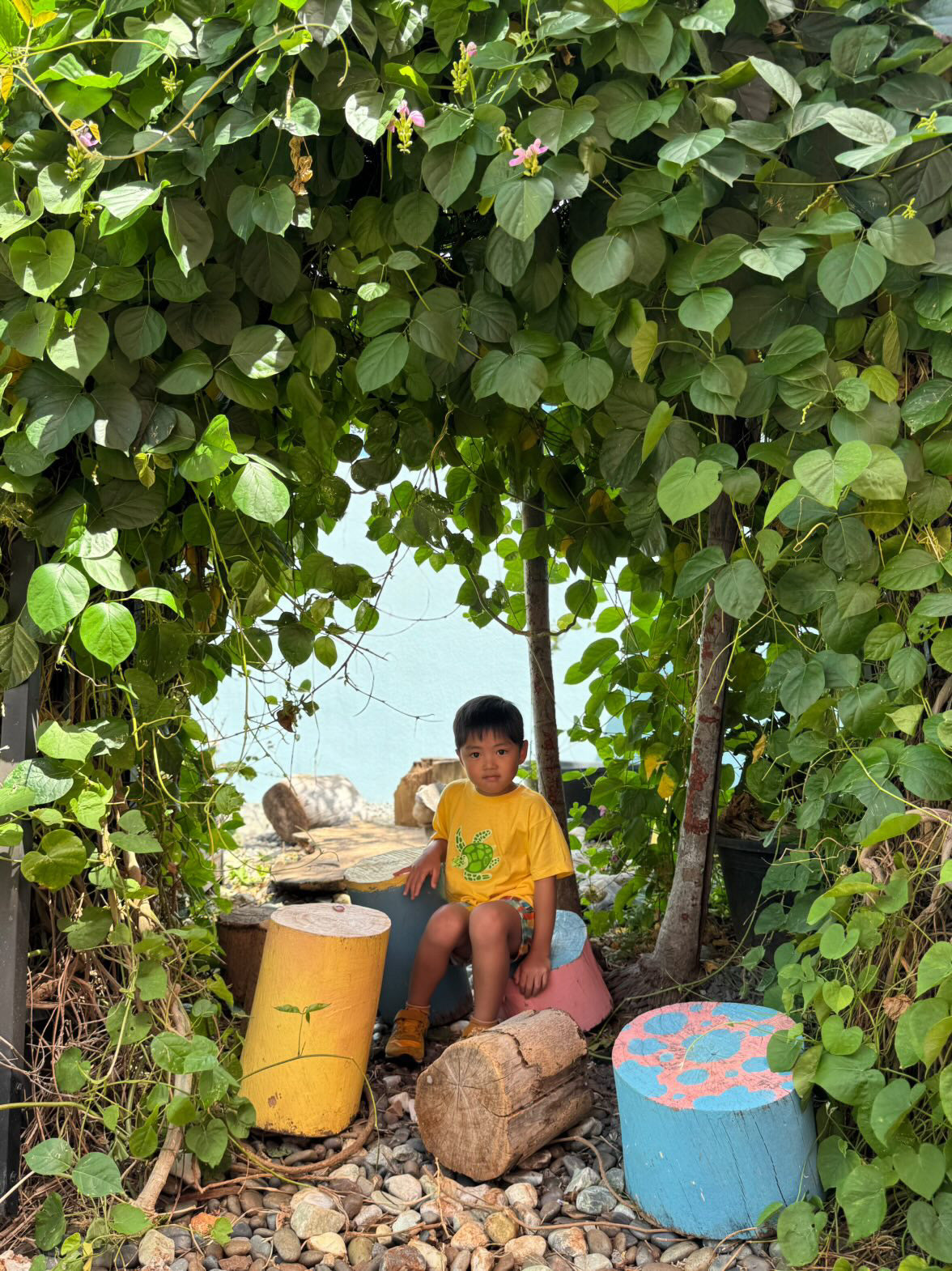 Honu Keiki Shirt