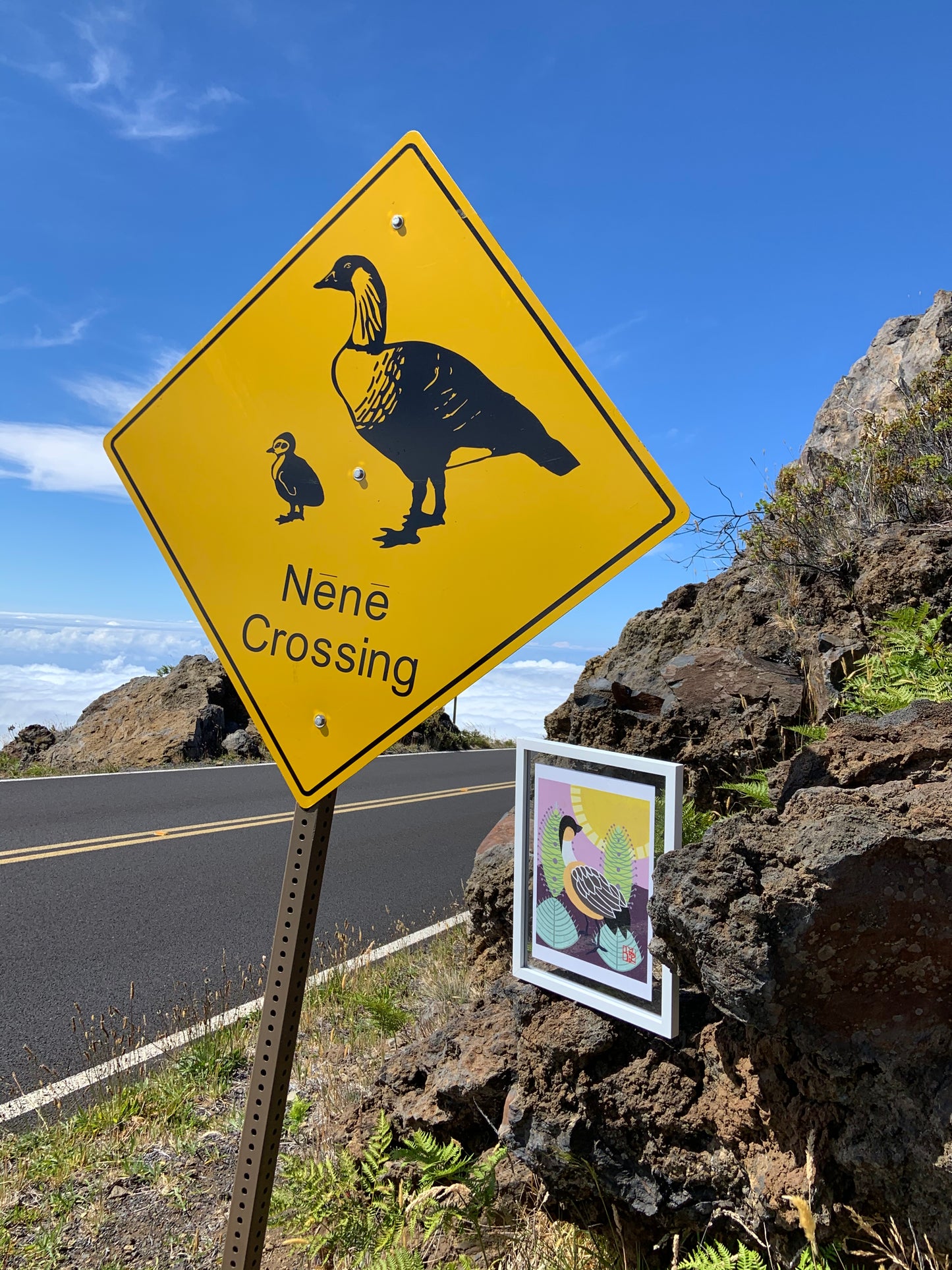 Nēnē & ʻāhinahina Print
