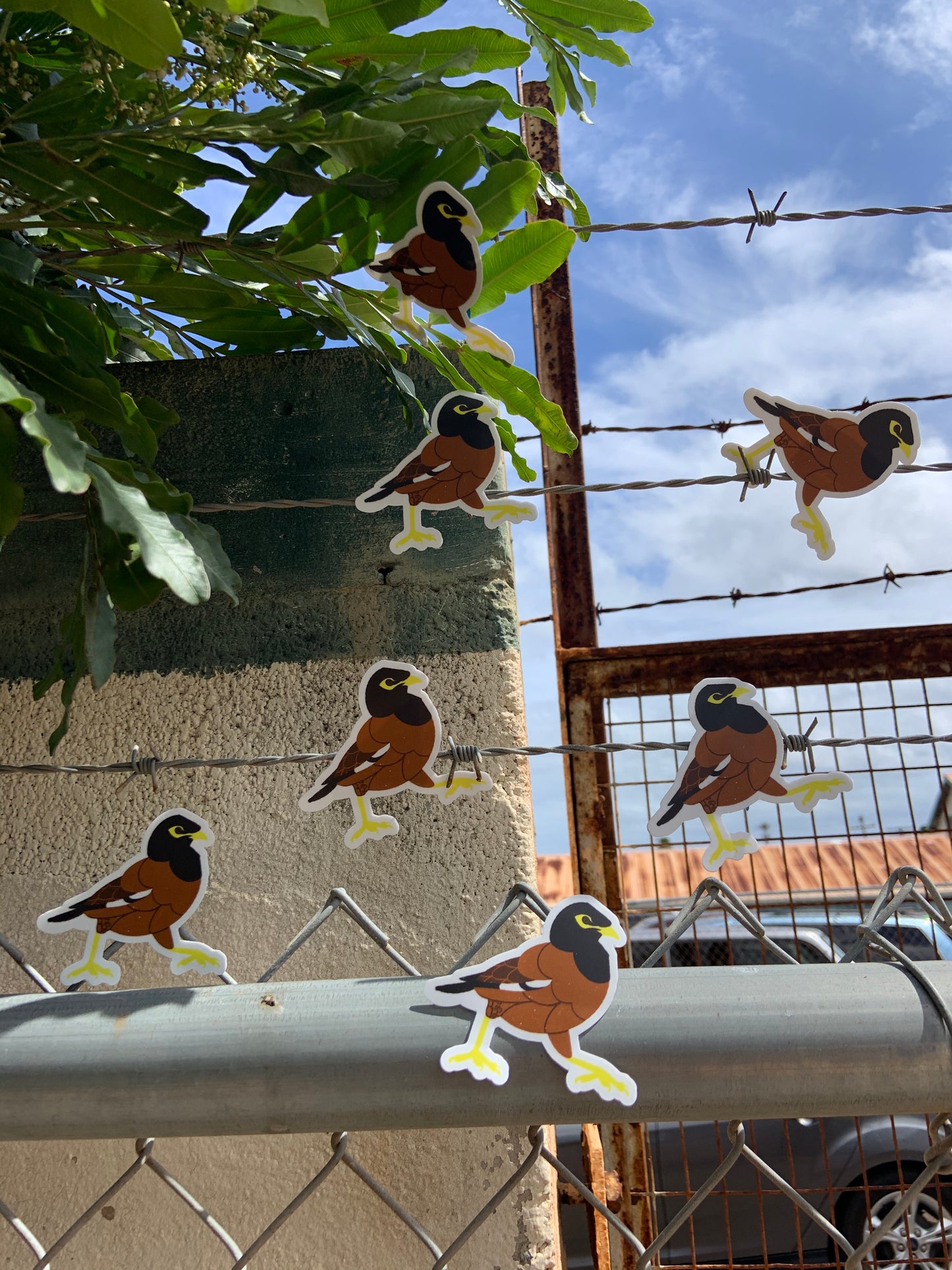 Myna Bird Stickers