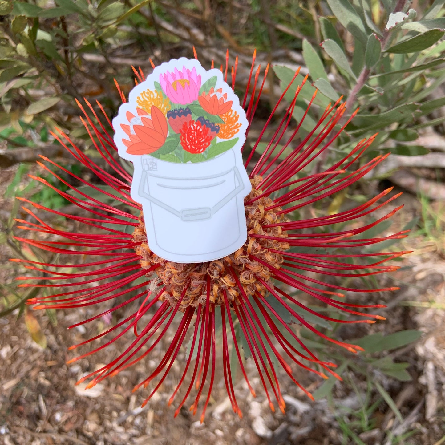 Protea Bucket Stickers