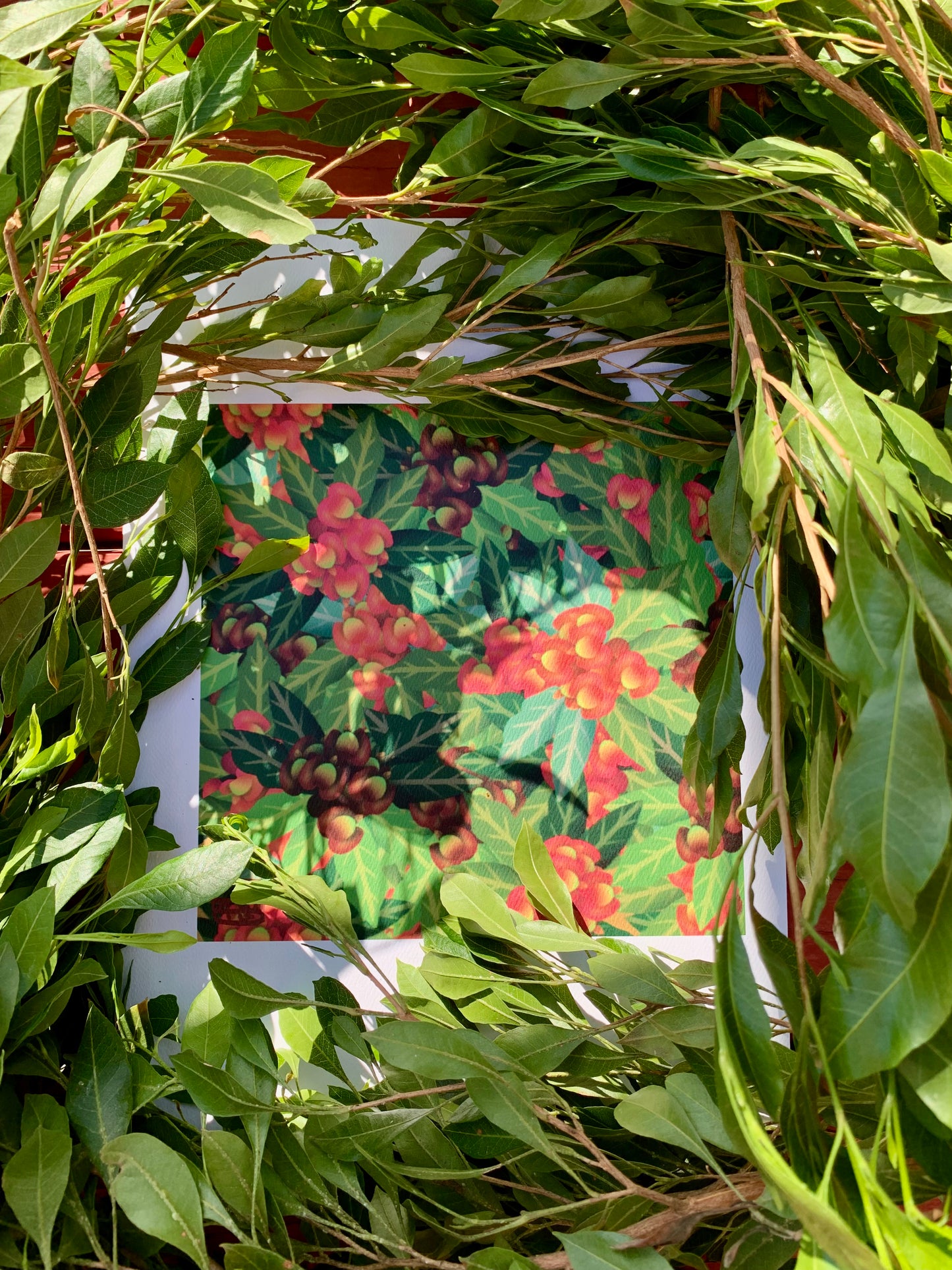 Aalii Print