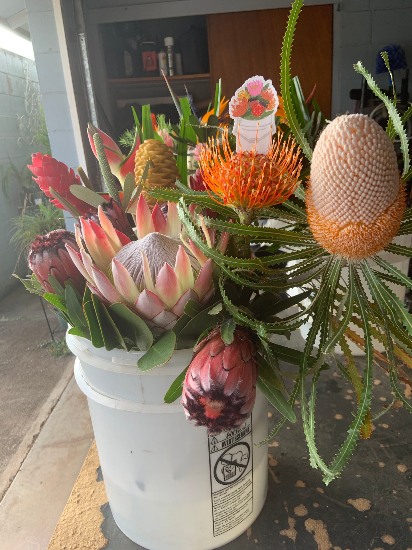 Protea Bucket Stickers