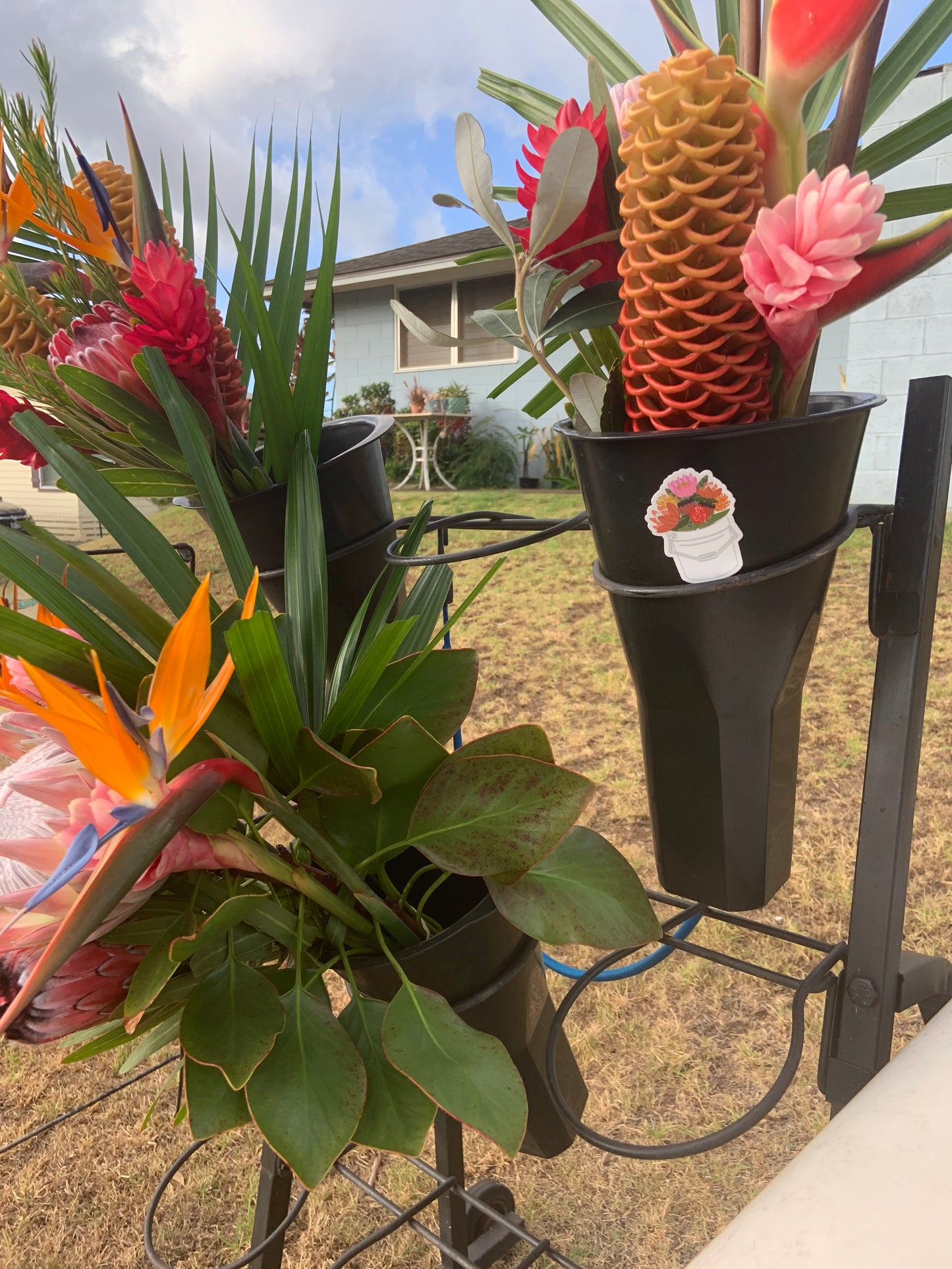 Protea Bucket Stickers