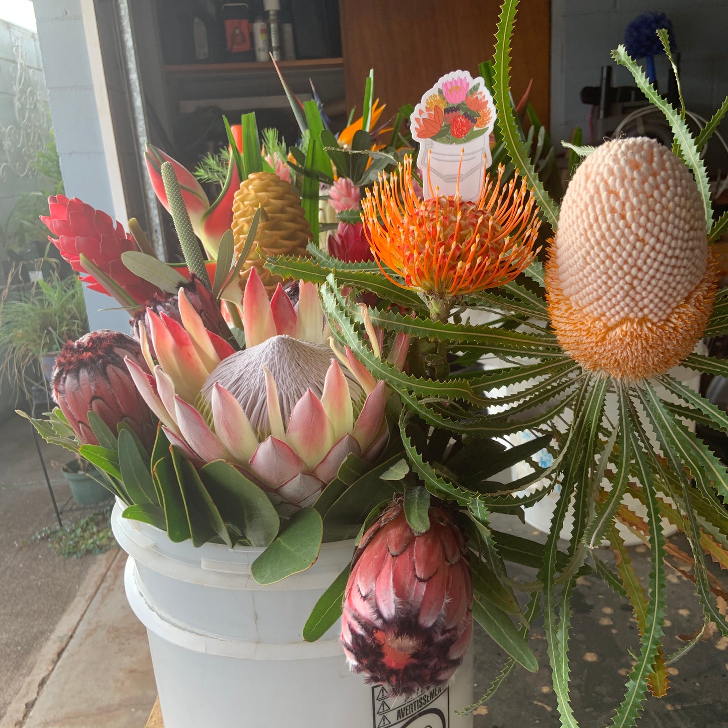 Protea Bucket Stickers