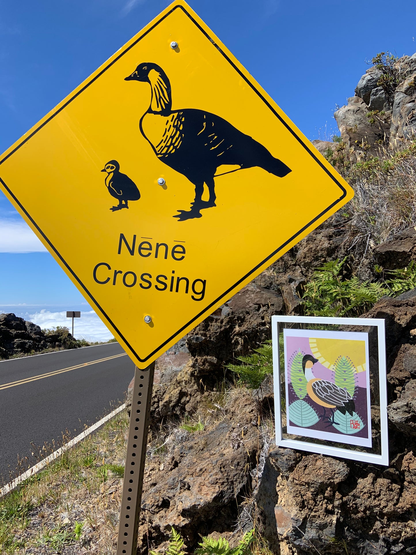 Nēnē & ʻāhinahina Print