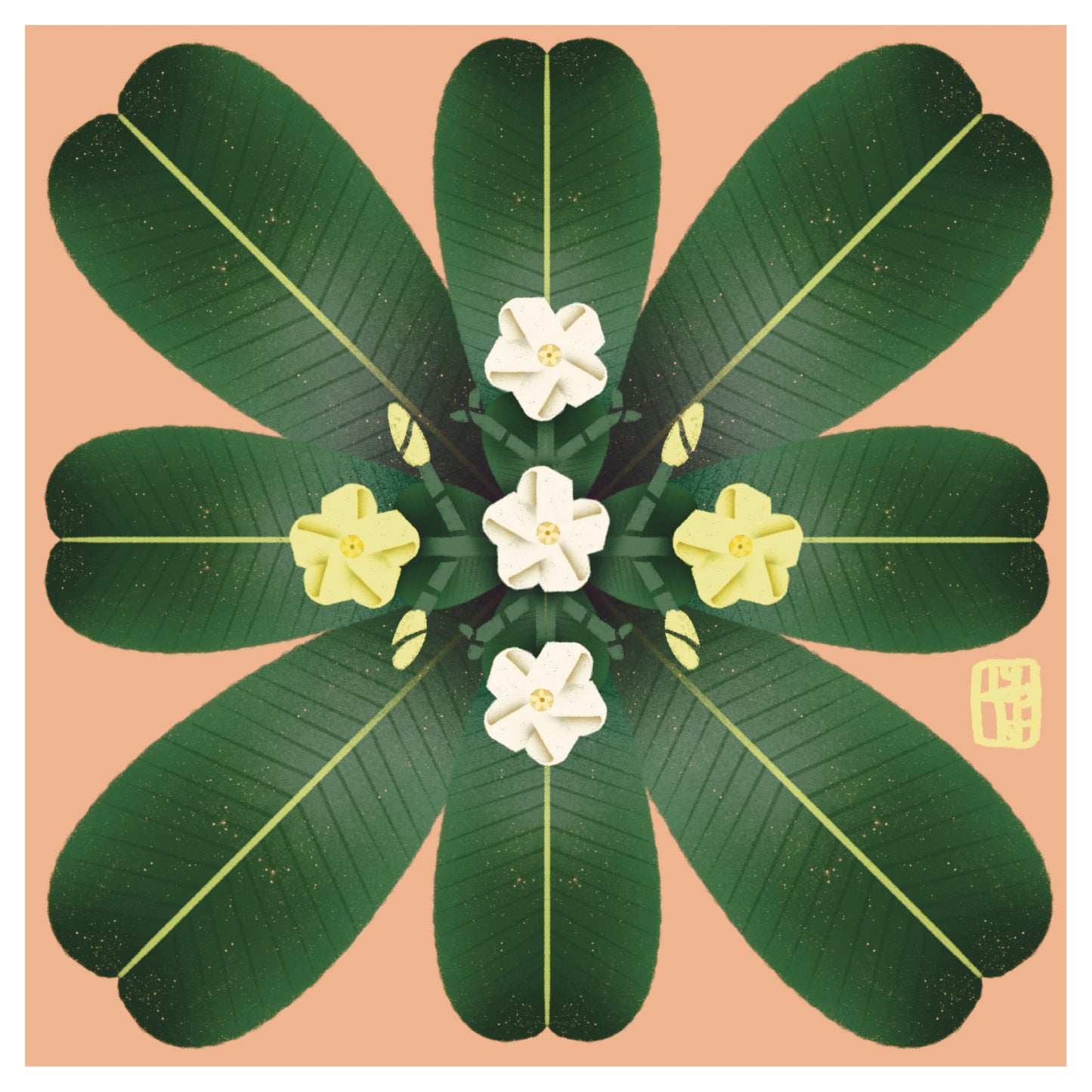 Holei Print