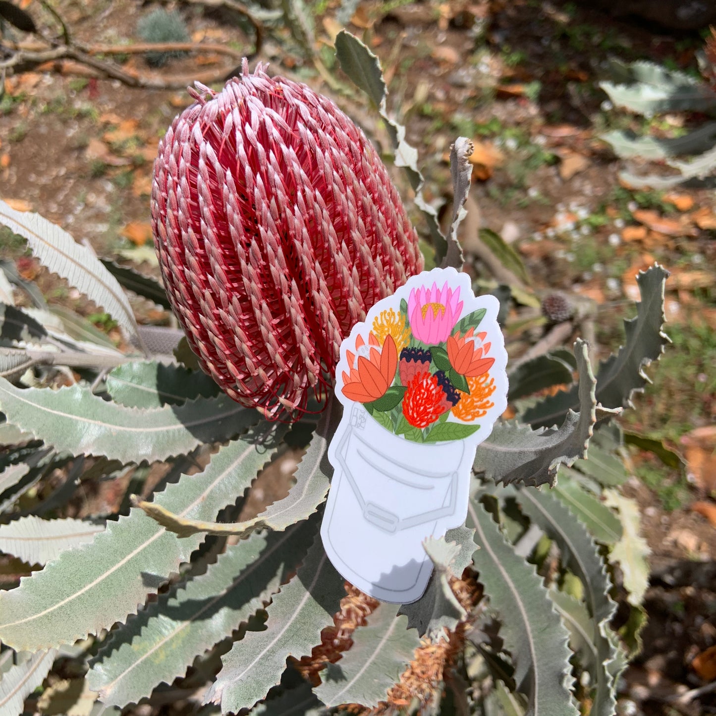 Protea Bucket Stickers