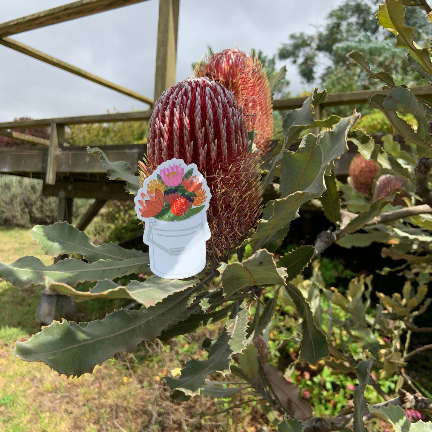 Protea Bucket Stickers