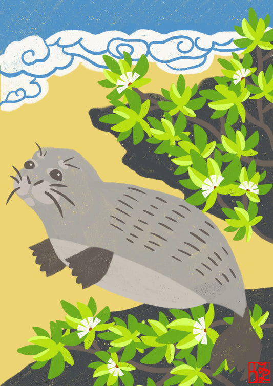 Monk Seal Print