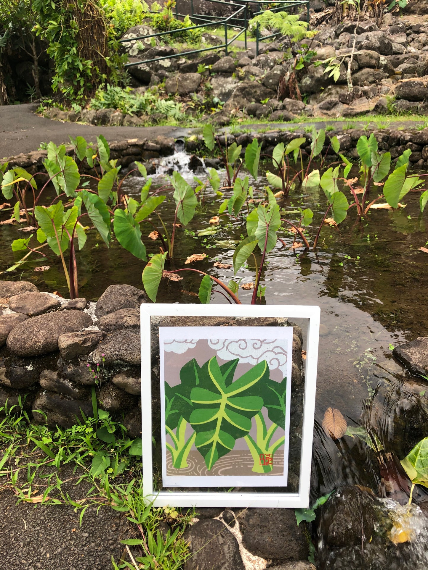 Kalo Print