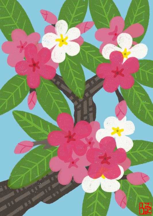 Plumeria Card