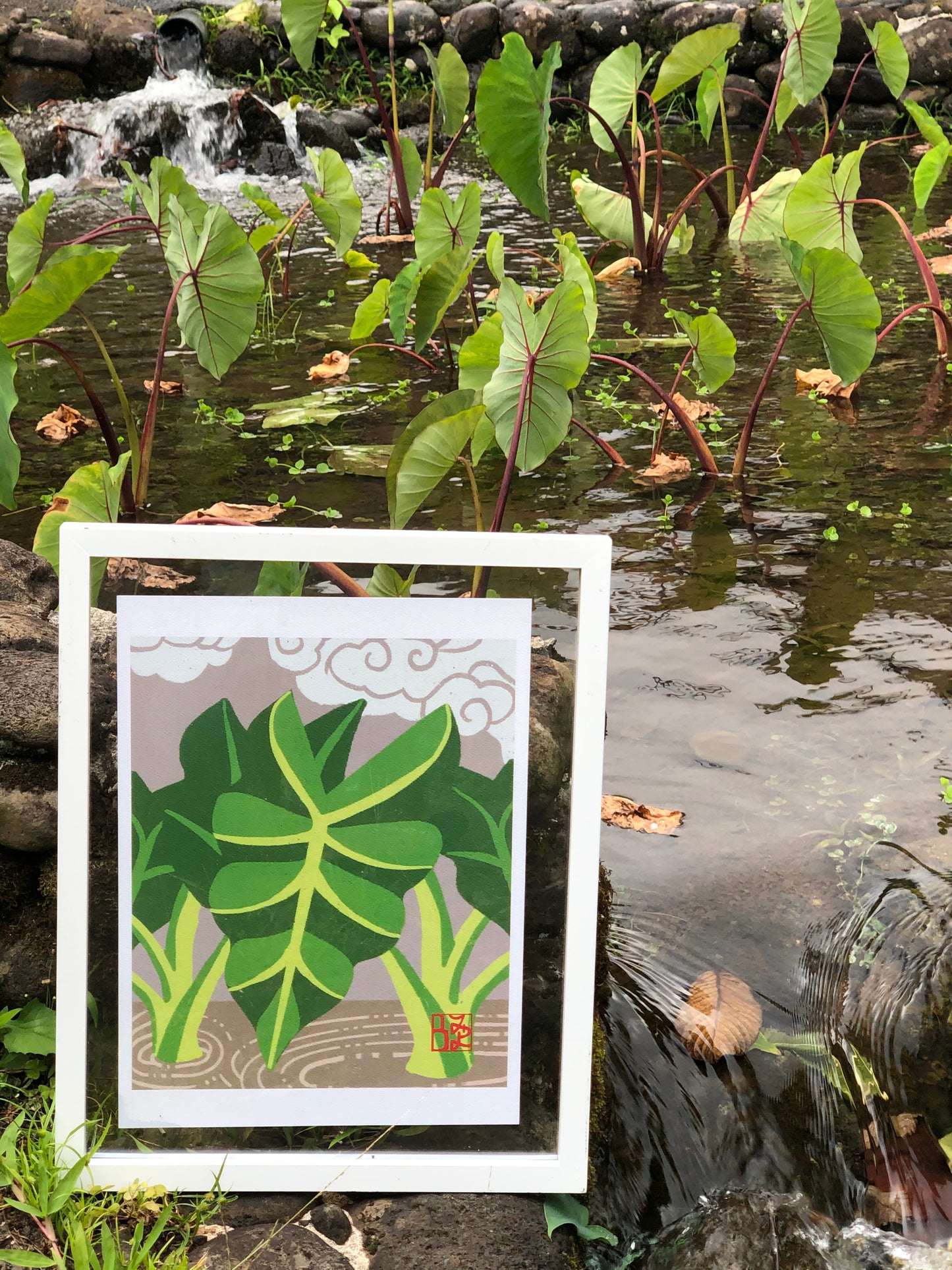 Kalo Print