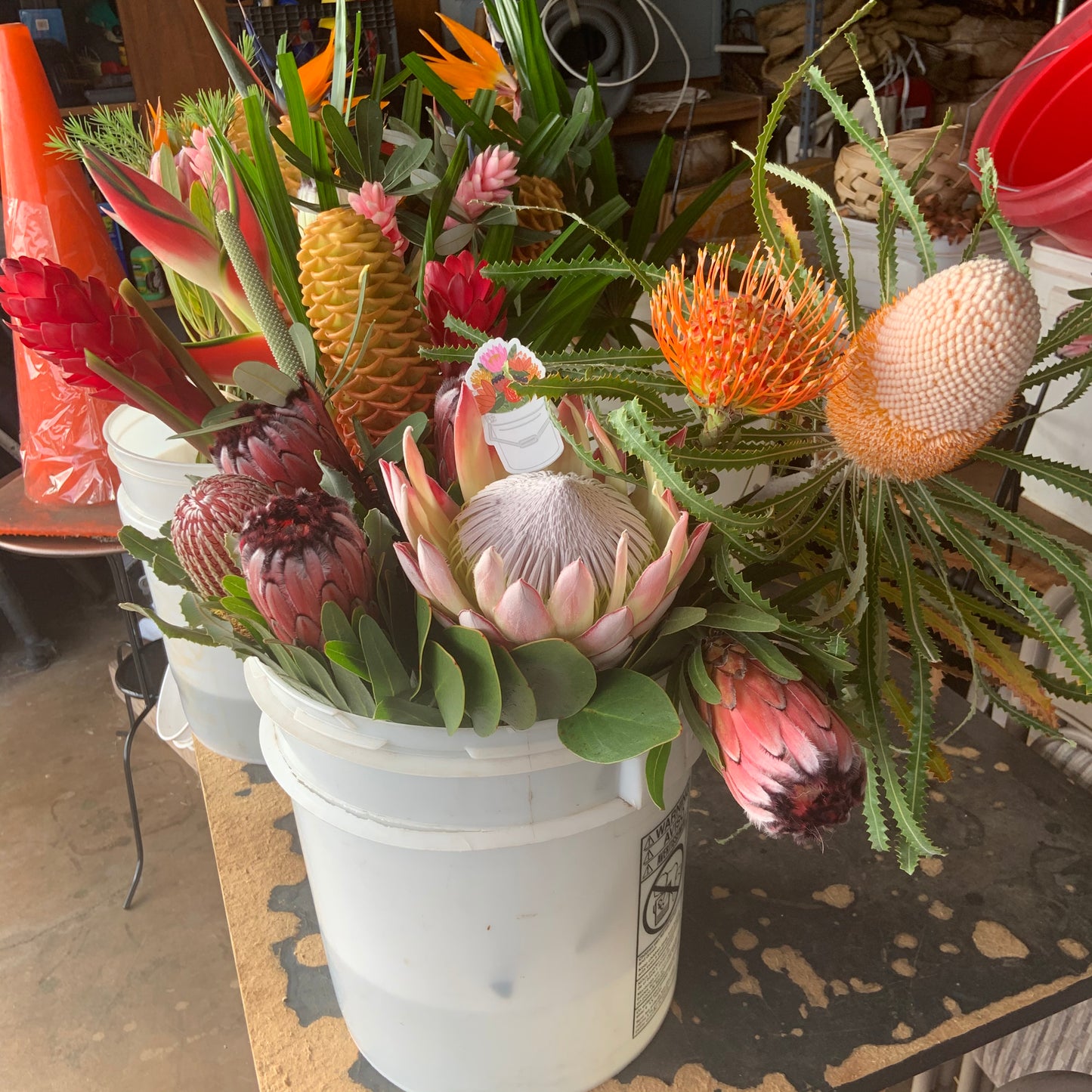 Protea Bucket Stickers