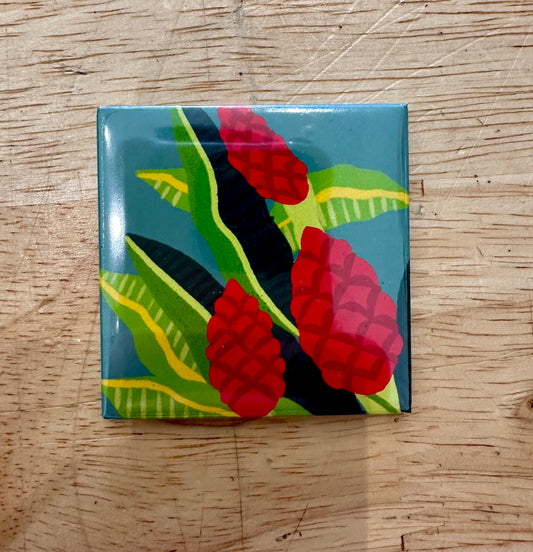 Awapuhi Magnet