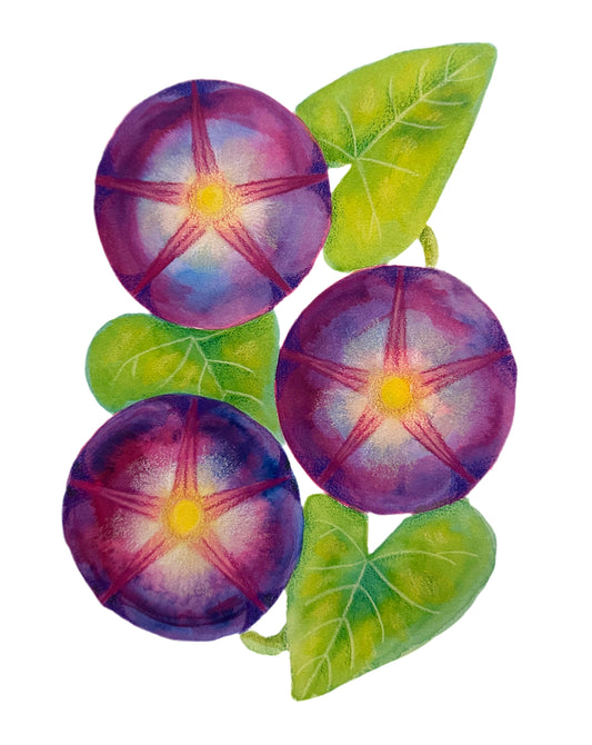 Koali ʻawa Original Painting