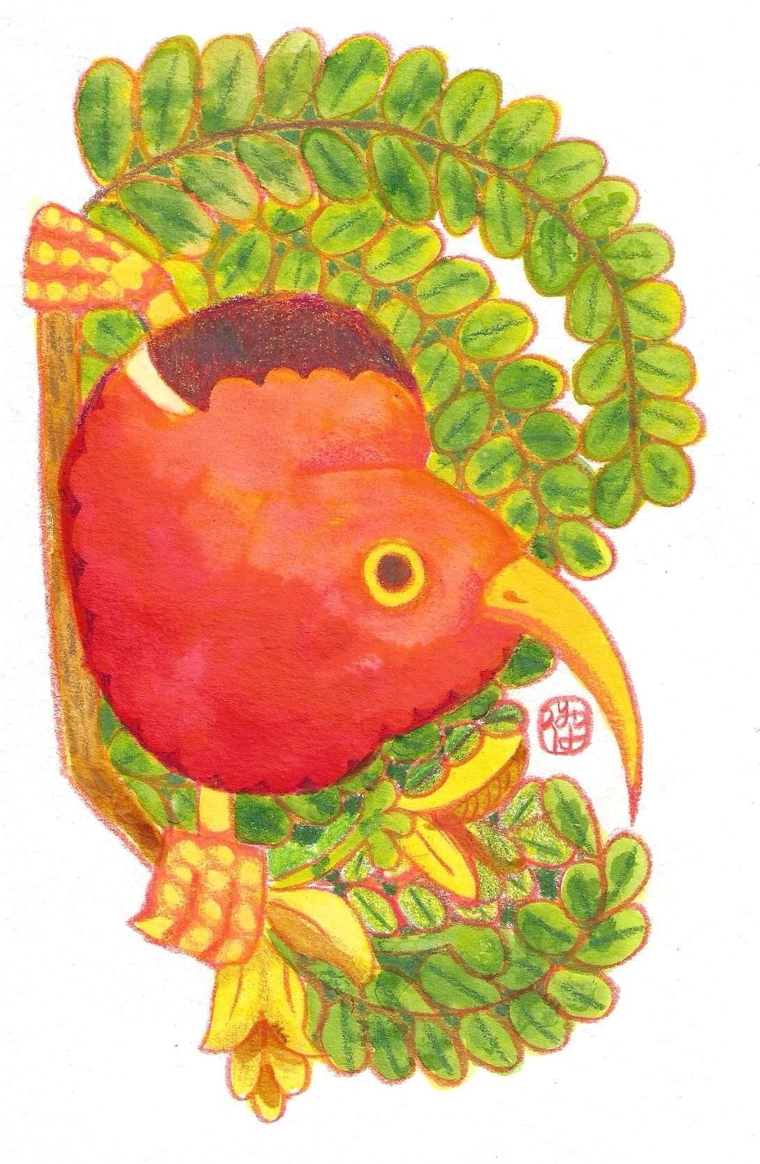 ‘Iʻiwi Drawing
