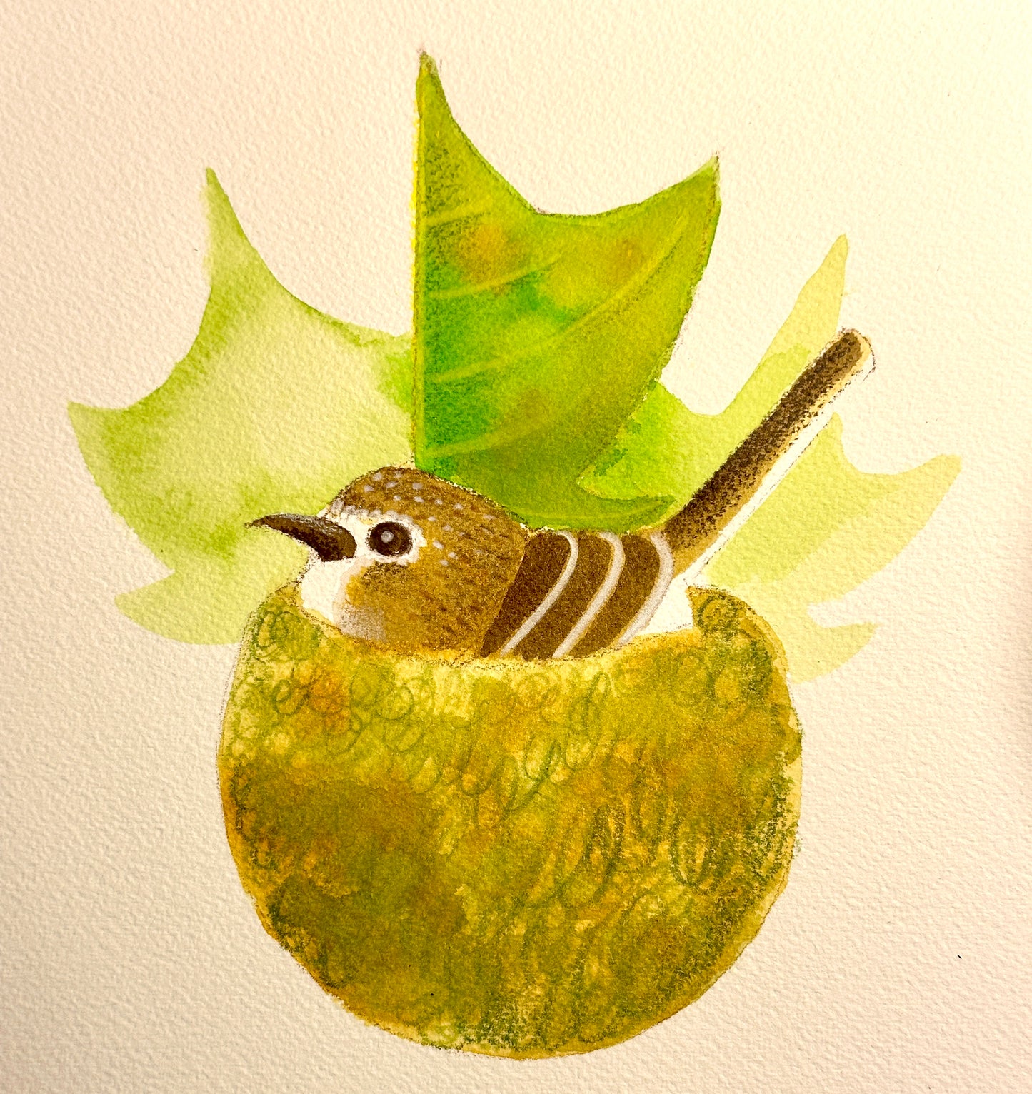 Hawaiʻi ʻElepaio Craft Print