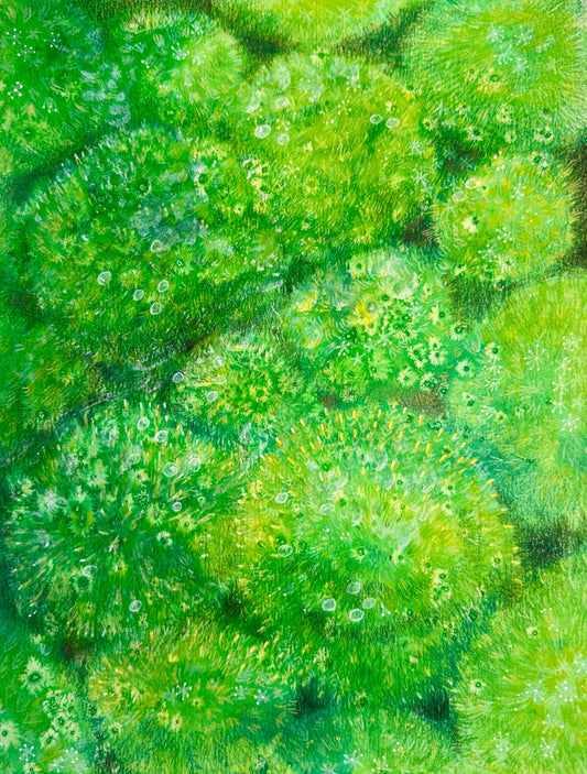 転石苔むさず Print