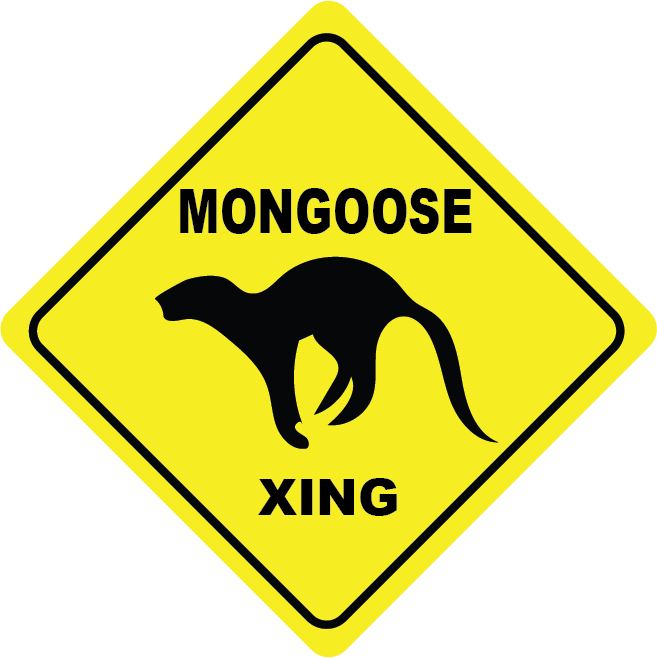 Mongoose Crossing Sticker