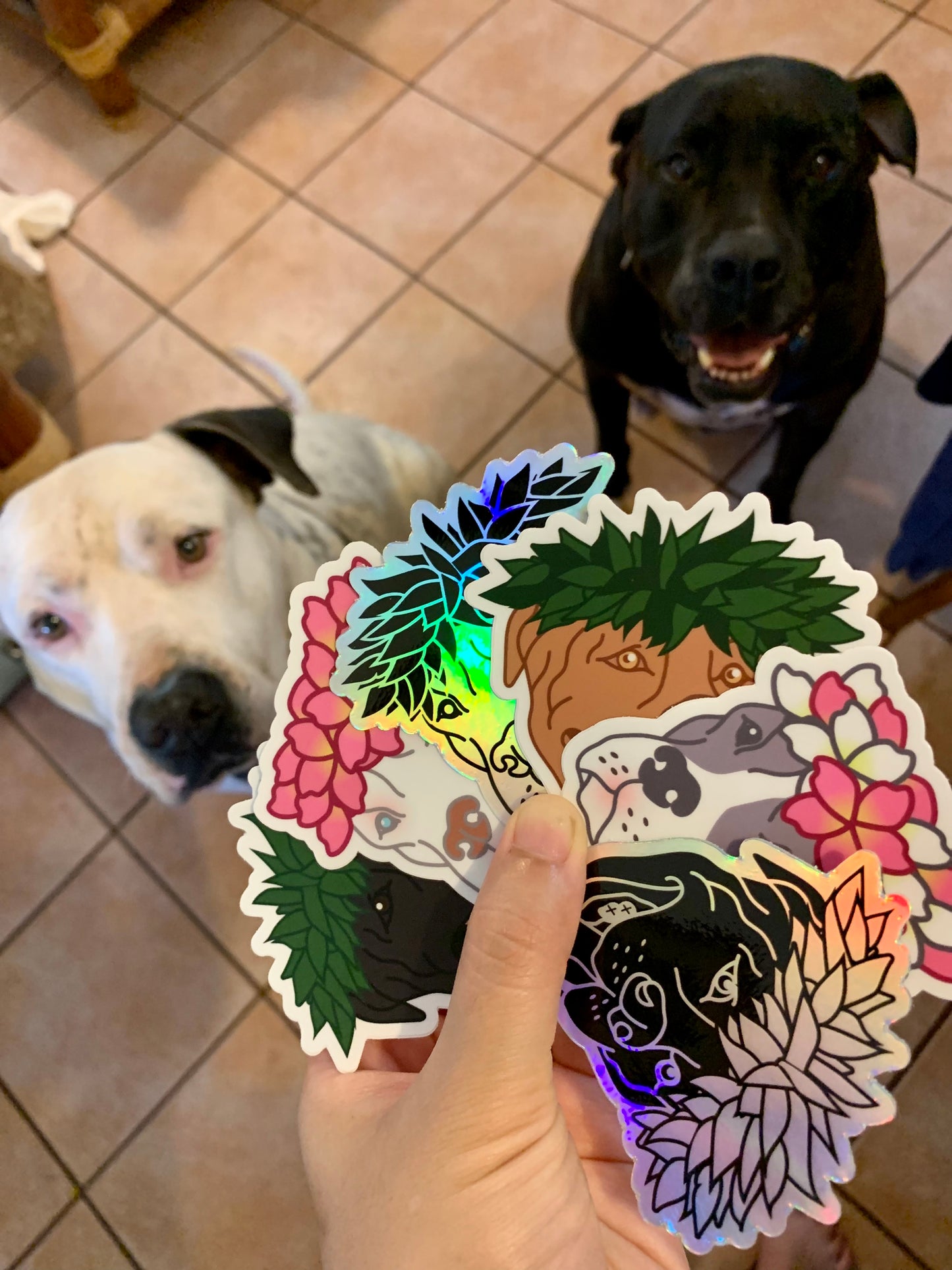 Poi Pup Stickers: Pitbull