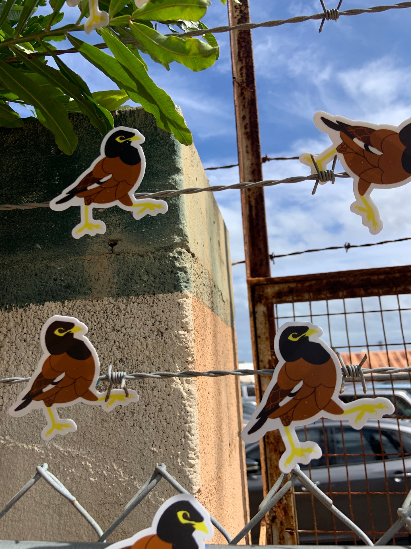 Myna Bird Stickers – B. Miyo Art