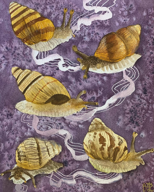Hawaiian Tree Snails Original Painting