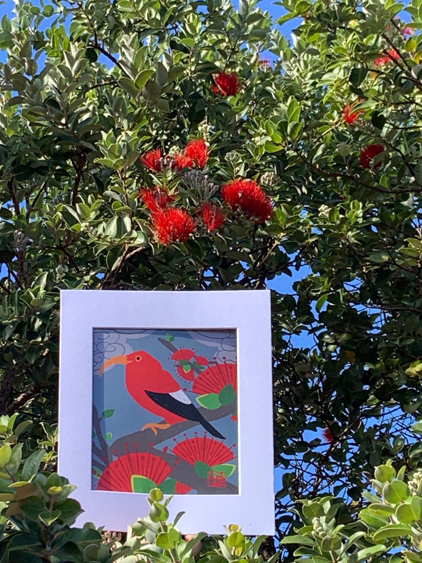 ʻIʻiwi &ʻŌhiʻa Lehua Print